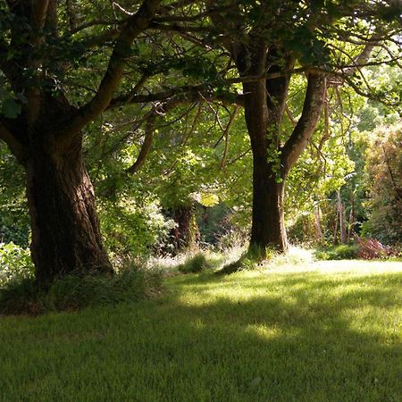 Purple Hen Country Lodge Katikati Luaran gambar