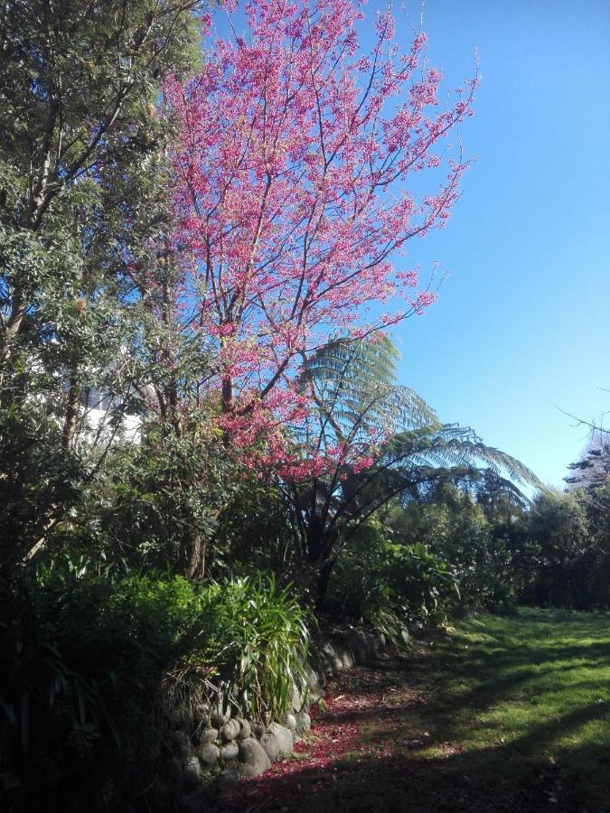 Purple Hen Country Lodge Katikati Luaran gambar