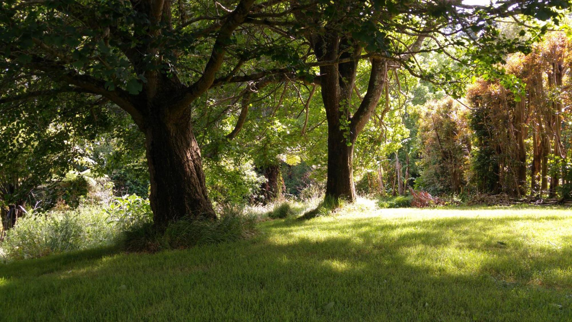 Purple Hen Country Lodge Katikati Luaran gambar