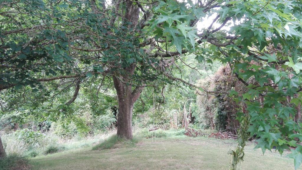 Purple Hen Country Lodge Katikati Luaran gambar