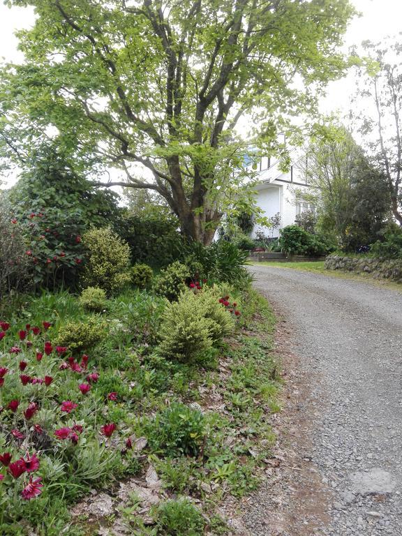 Purple Hen Country Lodge Katikati Luaran gambar