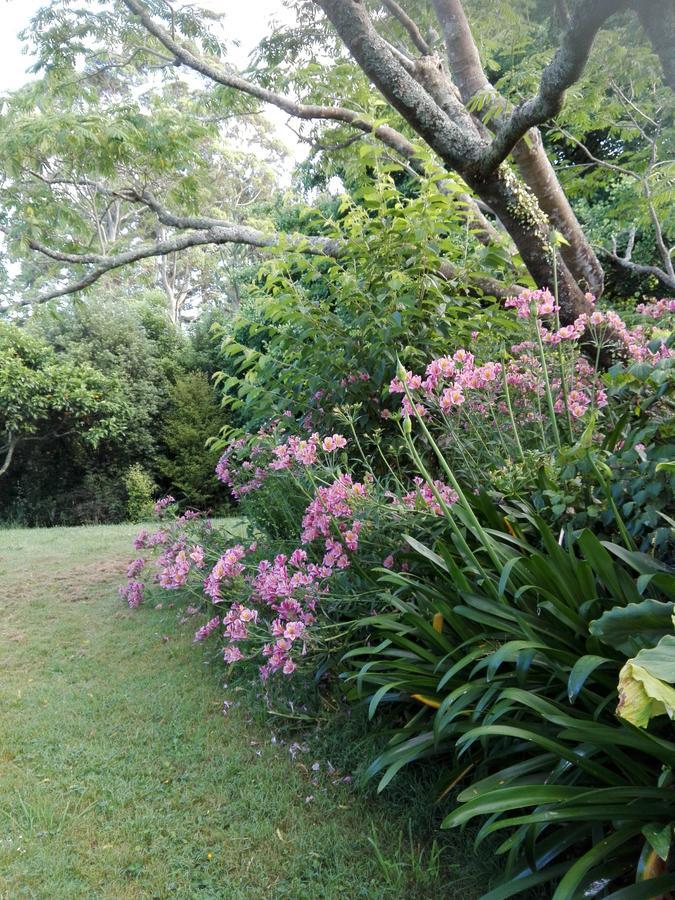 Purple Hen Country Lodge Katikati Luaran gambar