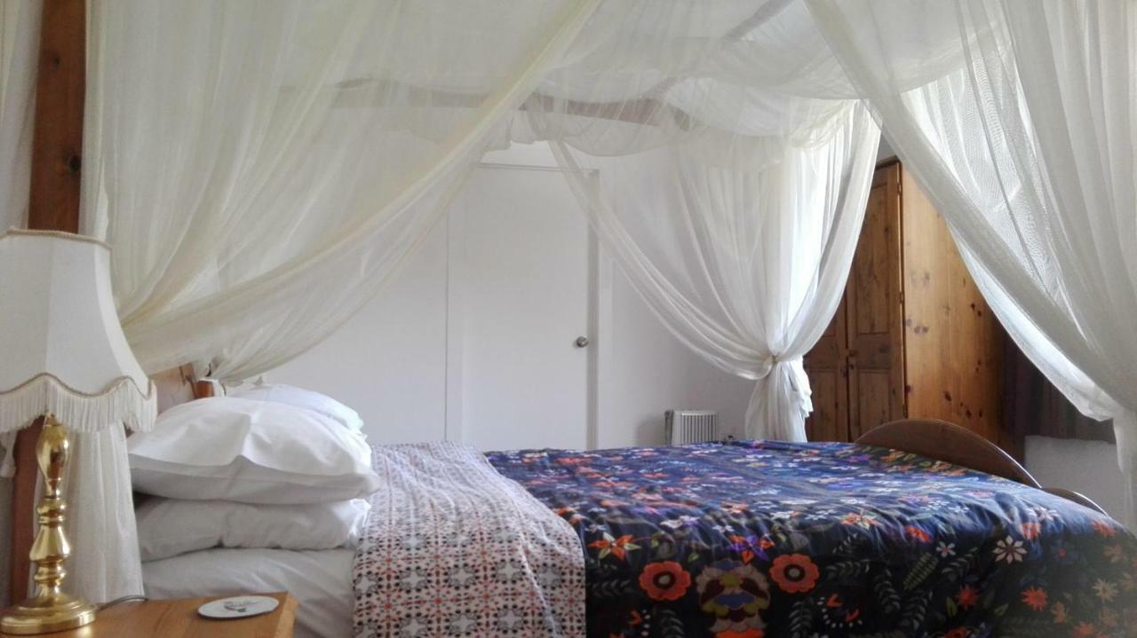Purple Hen Country Lodge Katikati Luaran gambar